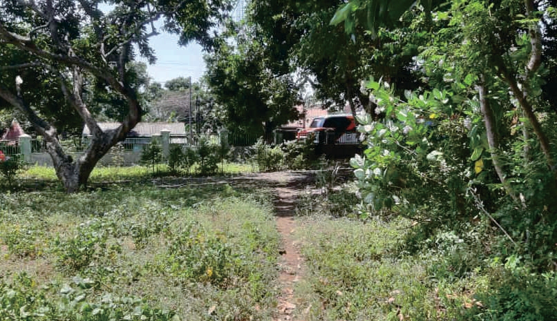 Sewa Aset Tanah Kosong di Jl. Malasan, Kab. Probolinggo Thumbnail 6