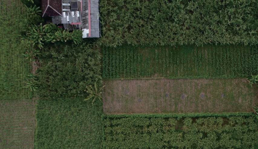 Sewa Aset Tanah Kosong Raya Kunir Klampuk Arum, Darungan, Kab. Lumajang - Foto 3