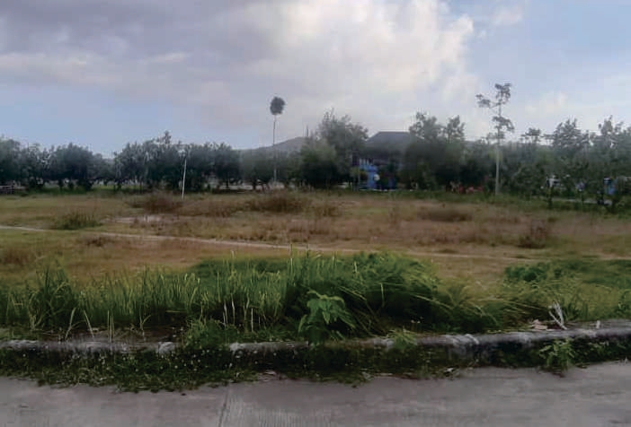 Sewa Aset Tanah Kosong Jl. Grajagan Banyuwangi - Foto 2