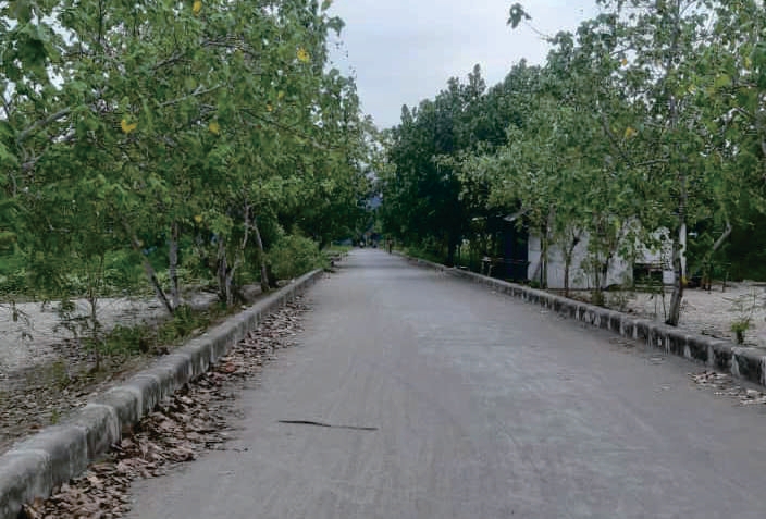 Sewa Aset Tanah Kosong Jl. Grajagan Banyuwangi Thumbnail 10