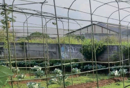 Sewa Aset Perkantoran Raya Dr. Cipto Kab. Malang Thumbnail 8