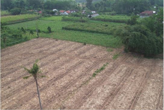 Sewa Aset Tanah Kosong Raya Kunir Klampuk Arum, Darungan, Kab. Lumajang Thumbnail 9