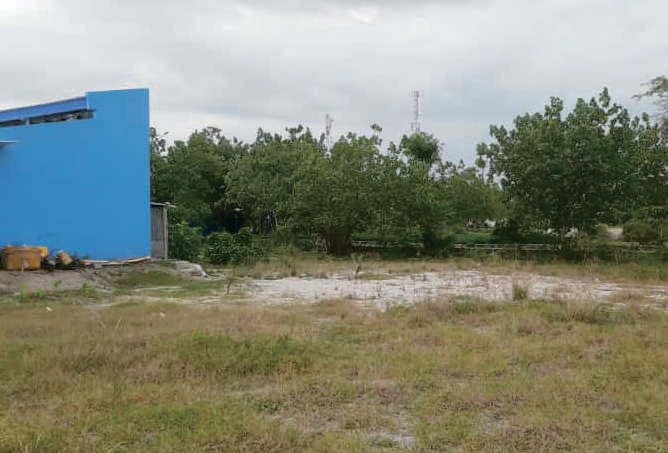 Sewa Aset Tanah Kosong Jl. Grajagan Banyuwangi - Foto 4