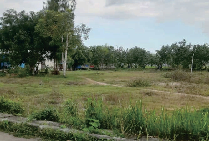 Sewa Aset Tanah Kosong Jl. Grajagan Banyuwangi - Foto 3