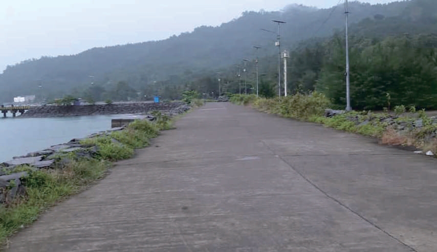 Sewa Aset Tanah Kosong Prigi Kec. Watulimo Kab. Trenggalek - Foto 2