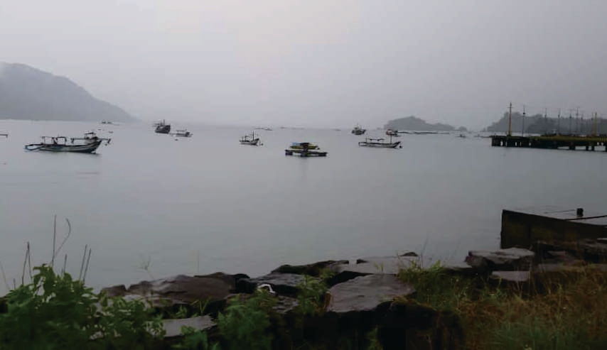 Sewa Aset Tanah Kosong Prigi Kec. Watulimo Kab. Trenggalek - Foto 1