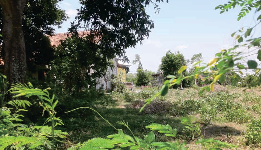 Sewa Aset Tanah Kosong di Jl. Malasan, Kab. Probolinggo - Foto 1