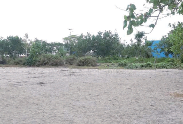 Sewa Aset Tanah Kosong Jl. Grajagan Banyuwangi - Foto 1