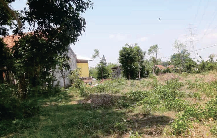 Sewa Aset Tanah Kosong di Jl. Malasan, Kab. Probolinggo Thumbnail 7