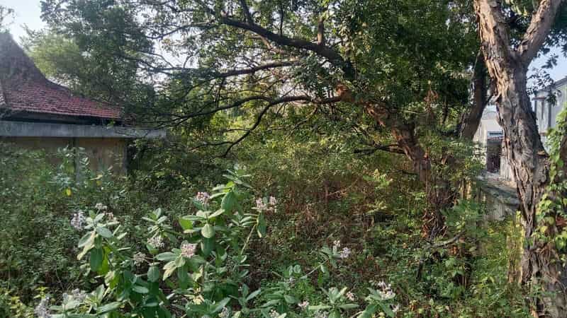 Sewa Aset Perkantoran Kantor Pengamat Jalan, Kab. Tuban - Jl. Raya Tuban Semarang - Foto 2