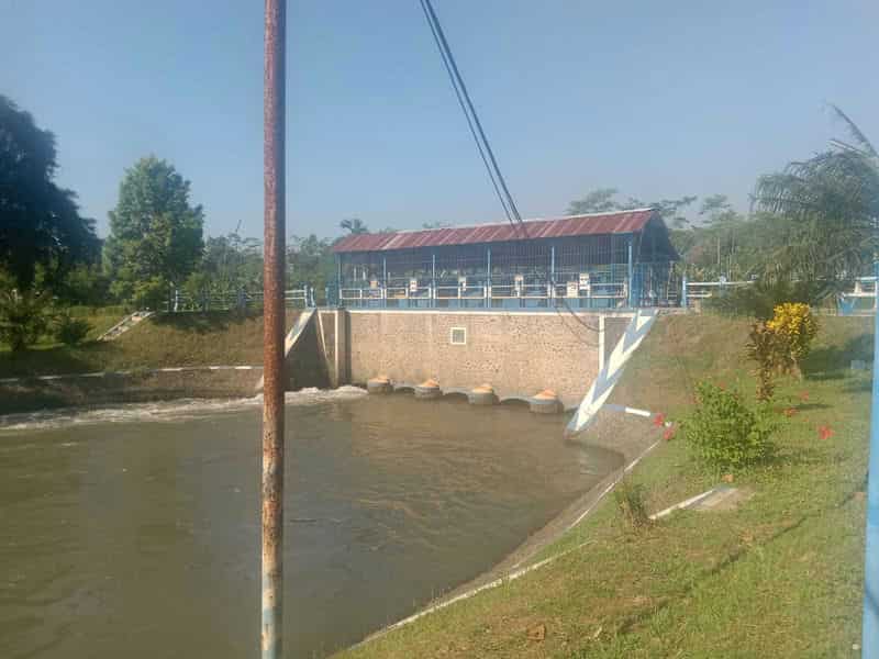 Sewa Aset Tanah Kosong Stren, Kab. Lumajang - Jl. Raya Lumajang -Jember Thumbnail 11