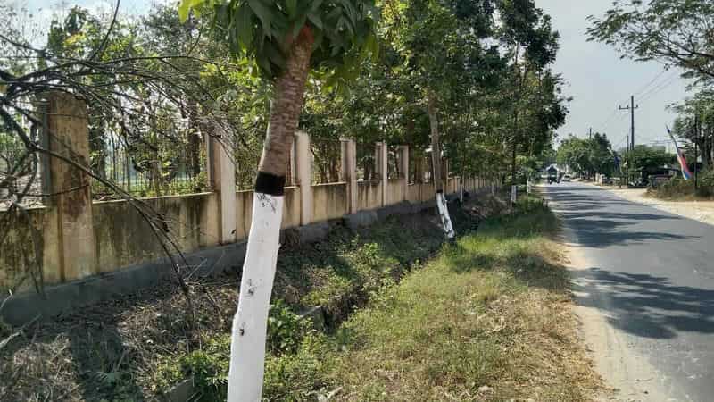 Sewa Aset Tanah Kosong Perkantoran, Kab. Tuban - Jl. Imam Bonjol - Foto 3