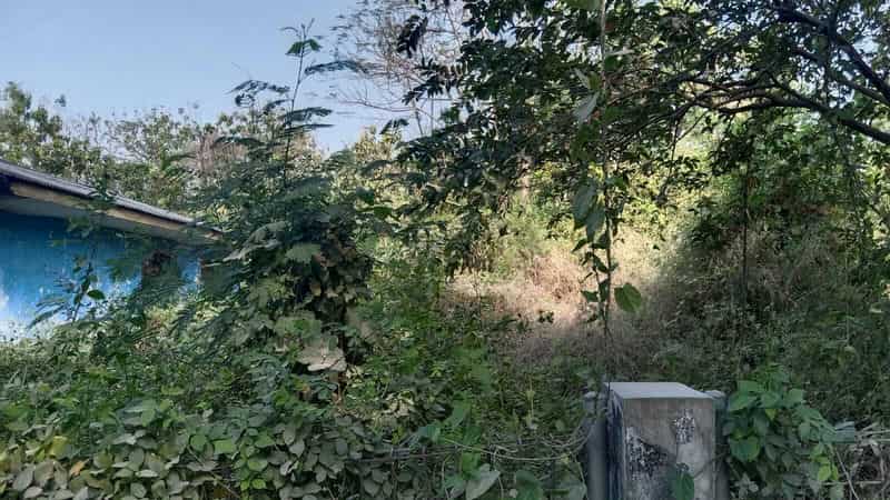 Sewa Aset Tanah Kosong Pertanian, - Kabalan,  Kanor,  Kab. Bojonegoro - Foto 3