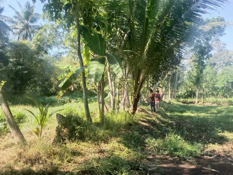 Sewa Aset Tanah Kosong Stren, Kab. Lumajang - Jl. Raya Lumajang -Jember Thumbnail 7