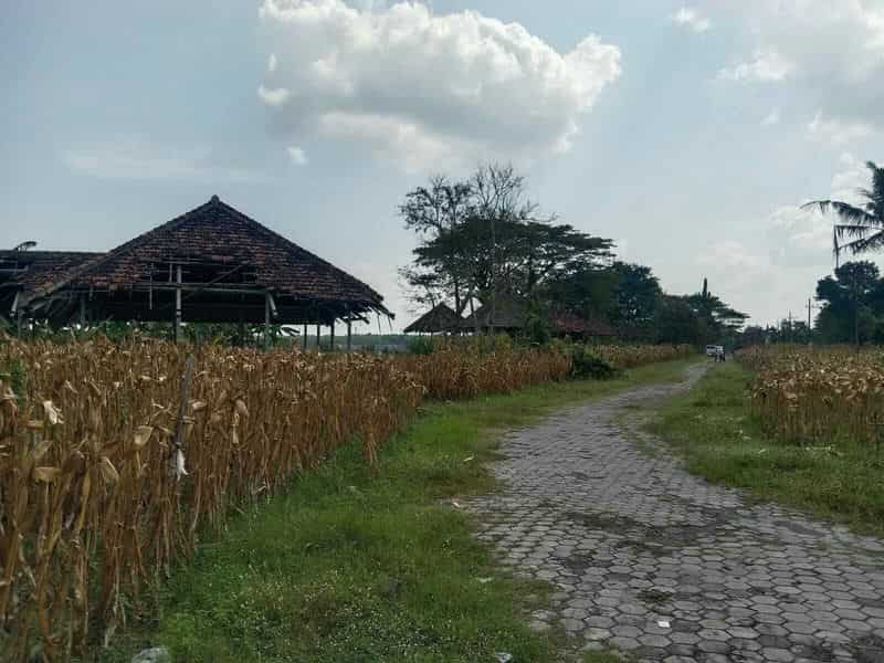 Sewa Aset Tanah Kosong, Eks Rest Area Ngawi, Kab. Ngawi - Jl Raya Solo, Ngawi Thumbnail 8