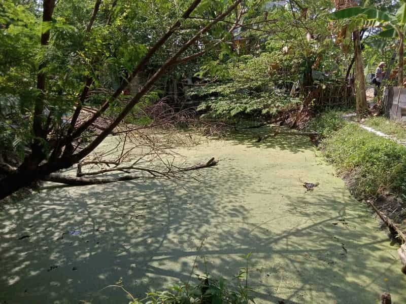 Sewa Aset Tanah Kosong, Kota Surabaya - Jl. Sutorejo - Foto 5