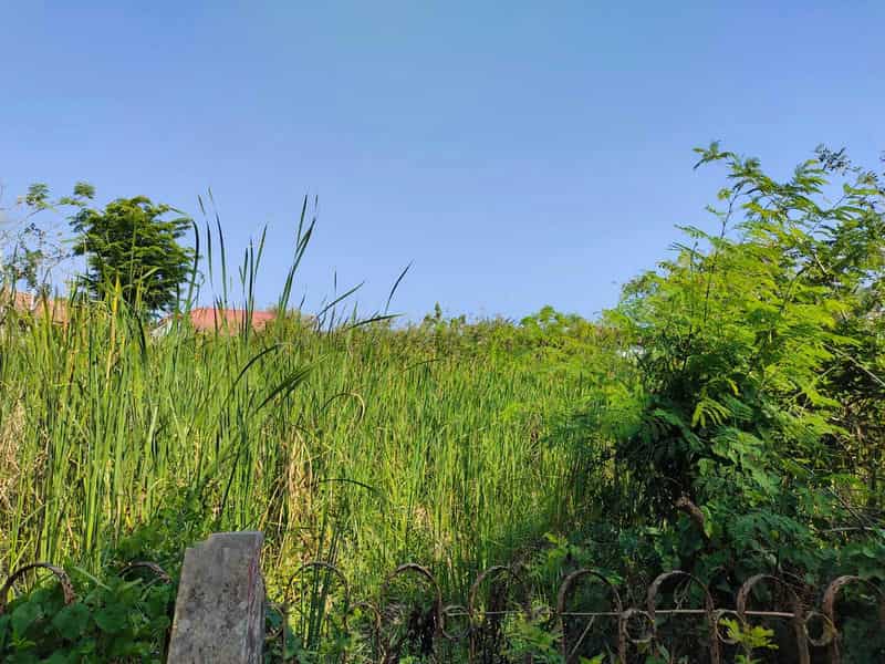 Sewa Aset Ruang Terbuka Kebun Rumput, Kab. Sumenep - Jl. Urip Sumoharjo - Foto 3