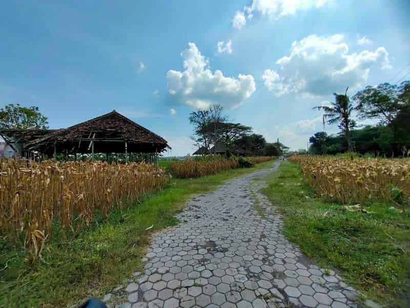 Sewa Aset Tanah Kosong, Eks Rest Area Ngawi, Kab. Ngawi - Jl Raya Solo, Ngawi - Foto 1