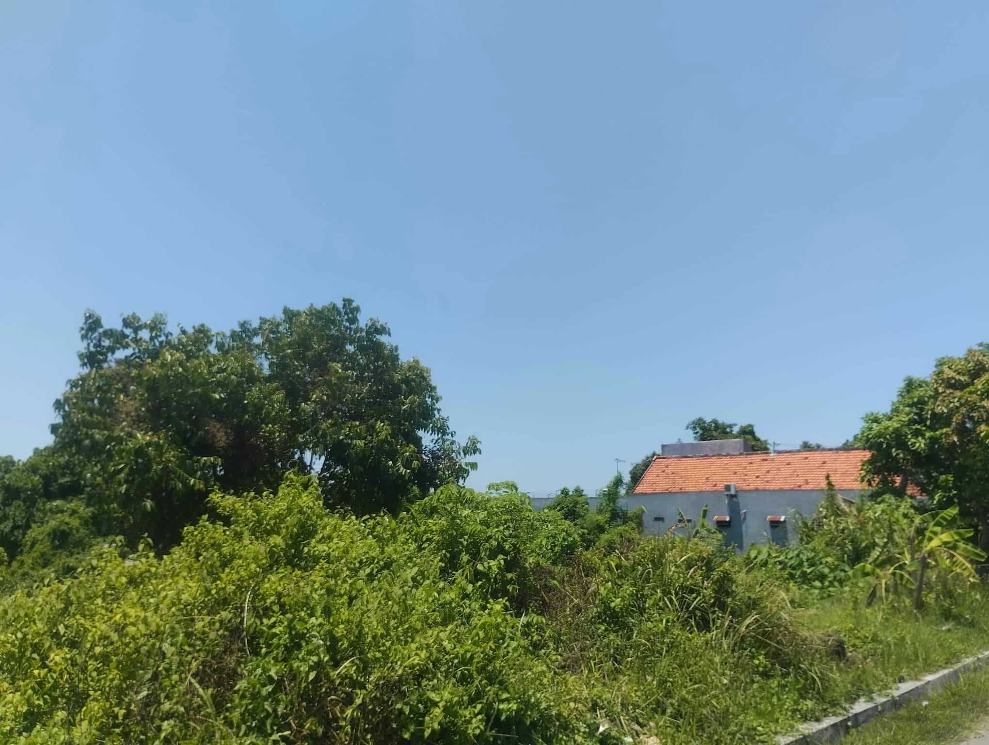 Sewa Aset Tanah Kosong Kebun Rumput Kemayoran, Kab. Bangkalan - Desa Kemayoran Bangkalan Thumbnail 7