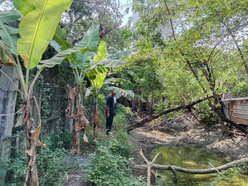 Sewa Aset Tanah Kosong, Kota Surabaya - Jl. Sutorejo Thumbnail 10