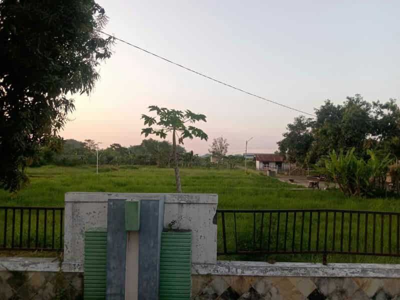 Sewa Aset Tanah Kosong, Kebun Rumput Trebungan, Kab. Situbondo - sekarputih, Timur, Trebungan, Mangaran - Foto 3