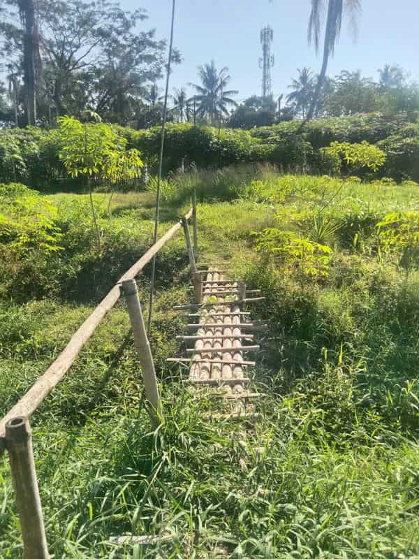 Sewa Aset Tanah Kosong Stren, Kab. Lumajang - Jl. Raya Lumajang -Jember - Foto 1