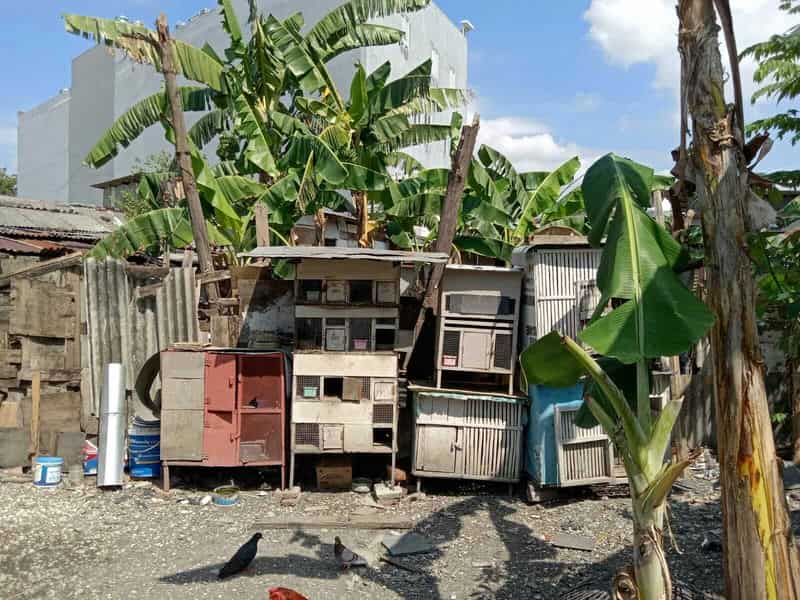 Sewa Aset Tanah Kosong, Kota Surabaya - Jl. Sutorejo - Foto 2