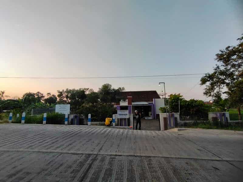 Sewa Aset Tanah Kosong, Kebun Rumput Trebungan, Kab. Situbondo - sekarputih, Timur, Trebungan, Mangaran Thumbnail 10