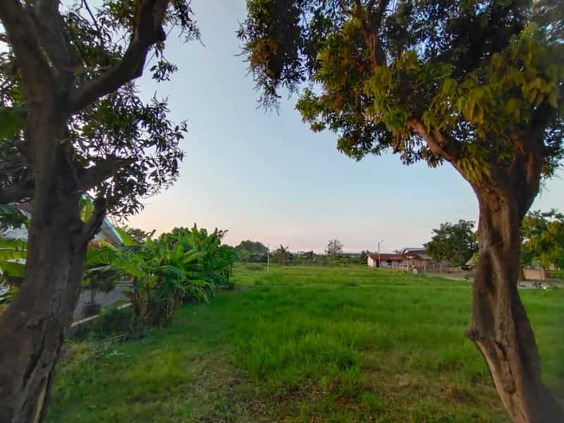 Sewa Aset Tanah Kosong, Kebun Rumput Trebungan, Kab. Situbondo - sekarputih, Timur, Trebungan, Mangaran Thumbnail 7