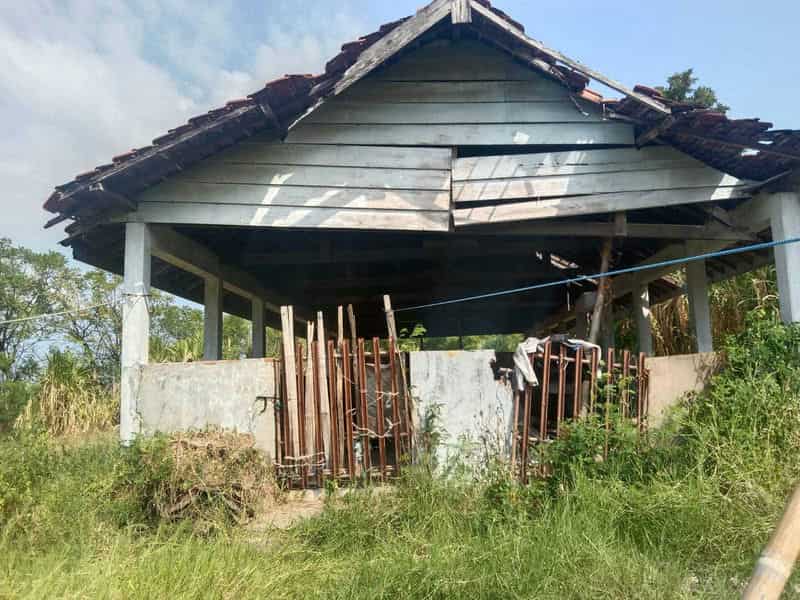 Sewa Aset Perkantoran Bangunan eks Karantina Hewan Aset Dinas Peternakan, Kab. Banyuwangi - Jl Raya Situbondo-Banyuwangi - Foto 3