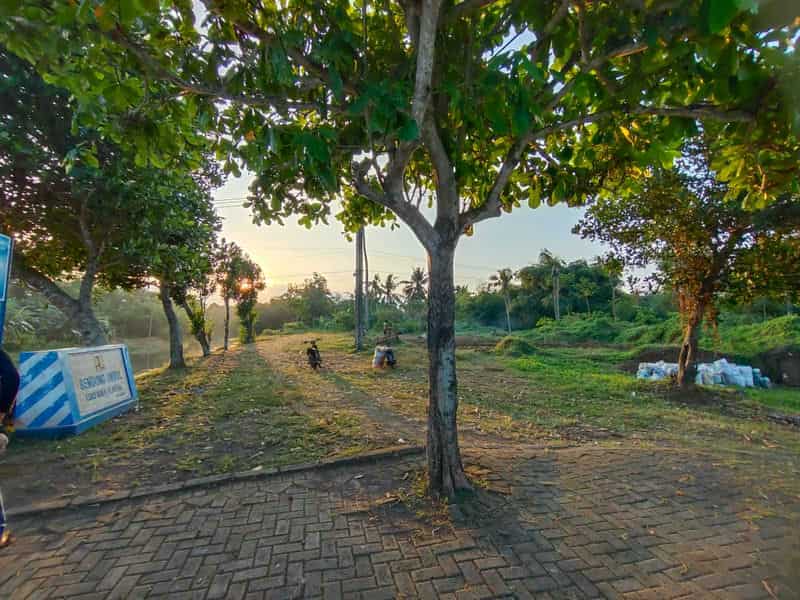 Sewa Aset Tanah Kosong Stren, Kab. Lumajang - Jl. Raya Lumajang -Jember Thumbnail 10
