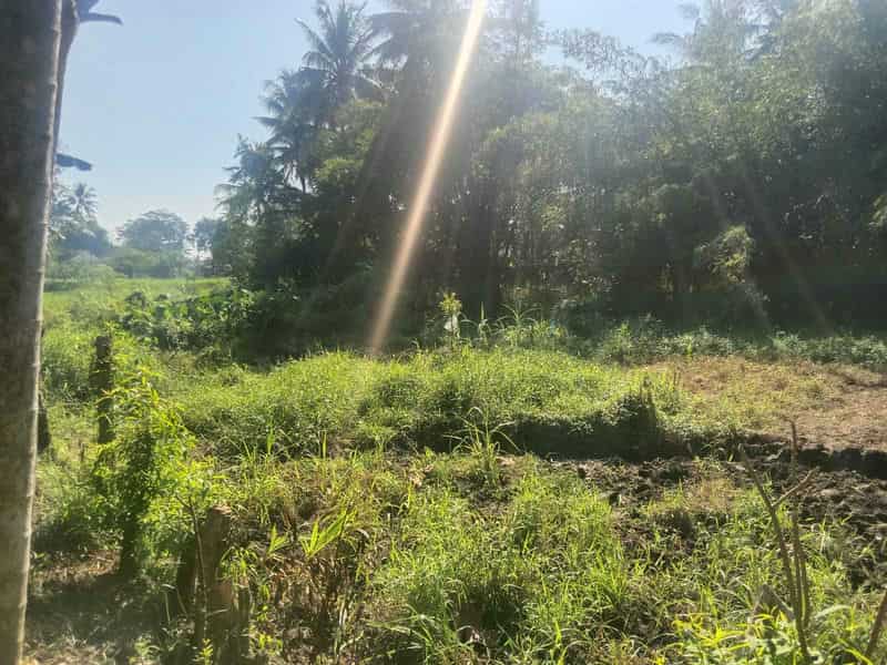 Sewa Aset Tanah Kosong Stren, Kab. Lumajang - Jl. Raya Lumajang -Jember - Foto 5