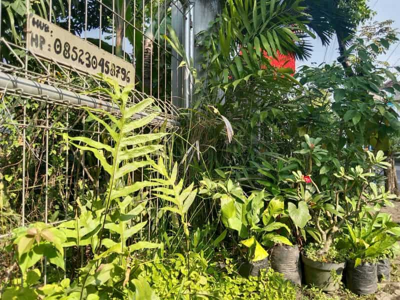 Sewa Aset Ruang Terbuka Tanah Perumahan, Kab. Probolinggo - JL. M. Sutoyo, Kraksaan - Foto 4