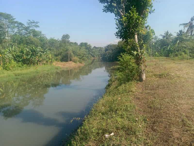 Sewa Aset Tanah Kosong Stren, Kab. Lumajang - Jl. Raya Lumajang -Jember - Foto 3
