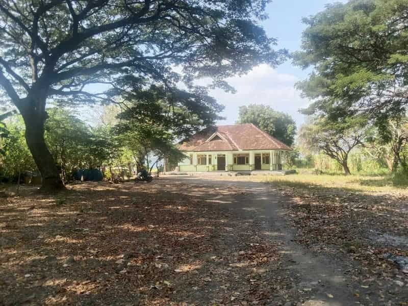 Sewa Aset Perkantoran Bangunan eks Karantina Hewan Aset Dinas Peternakan, Kab. Banyuwangi - Jl Raya Situbondo-Banyuwangi - Foto 4