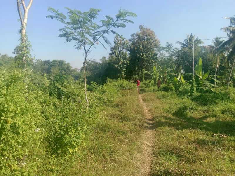 Sewa Aset Tanah Kosong Stren, Kab. Lumajang - Jl. Raya Lumajang -Jember Thumbnail 8