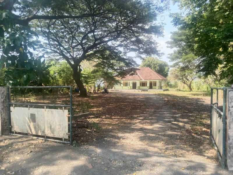 Sewa Aset Perkantoran Bangunan eks Karantina Hewan Aset Dinas Peternakan, Kab. Banyuwangi - Jl Raya Situbondo-Banyuwangi - Foto 5