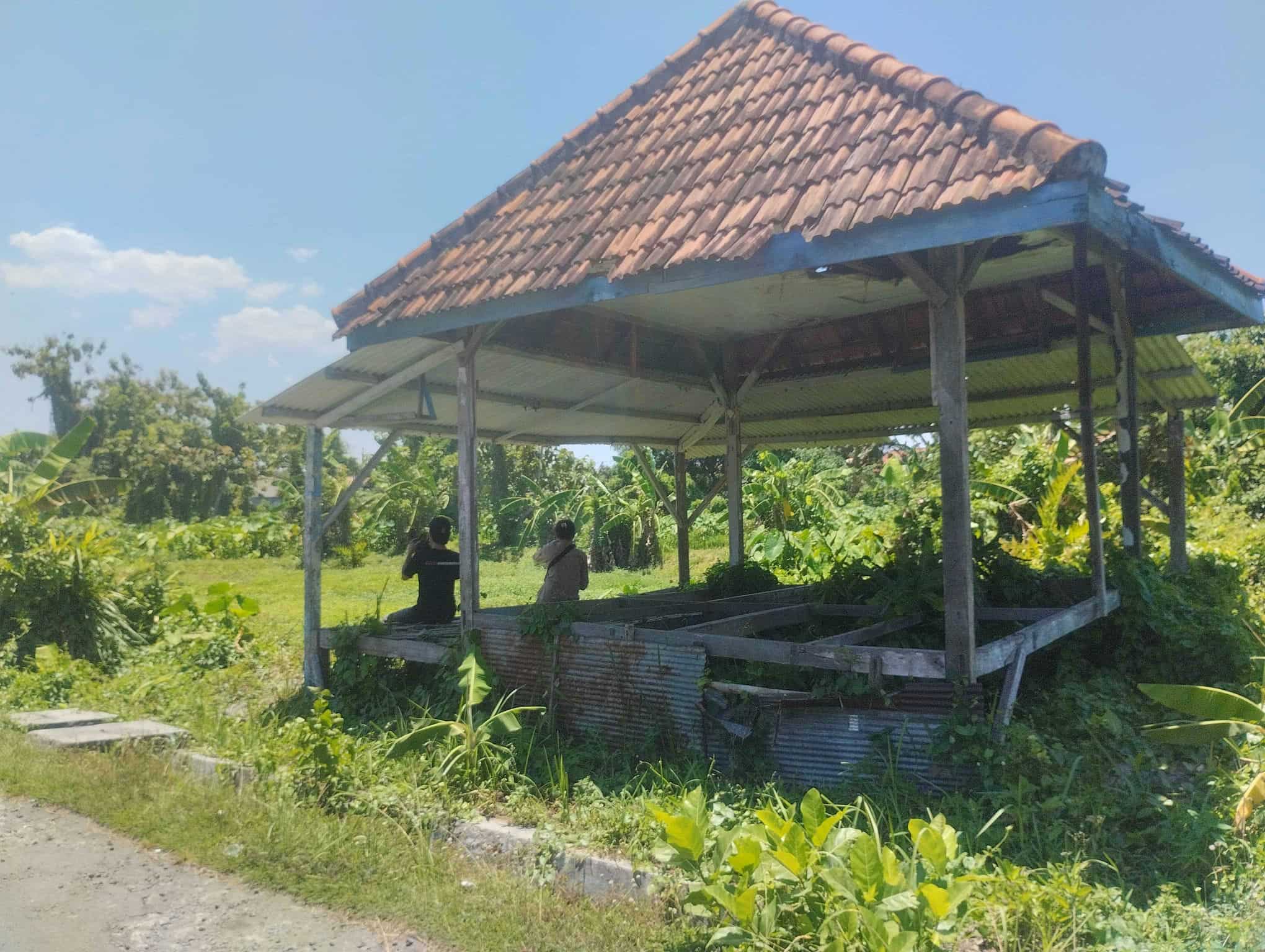 Sewa Aset Tanah Kosong Kebun Rumput Kemayoran, Kab. Bangkalan - Desa Kemayoran Bangkalan
