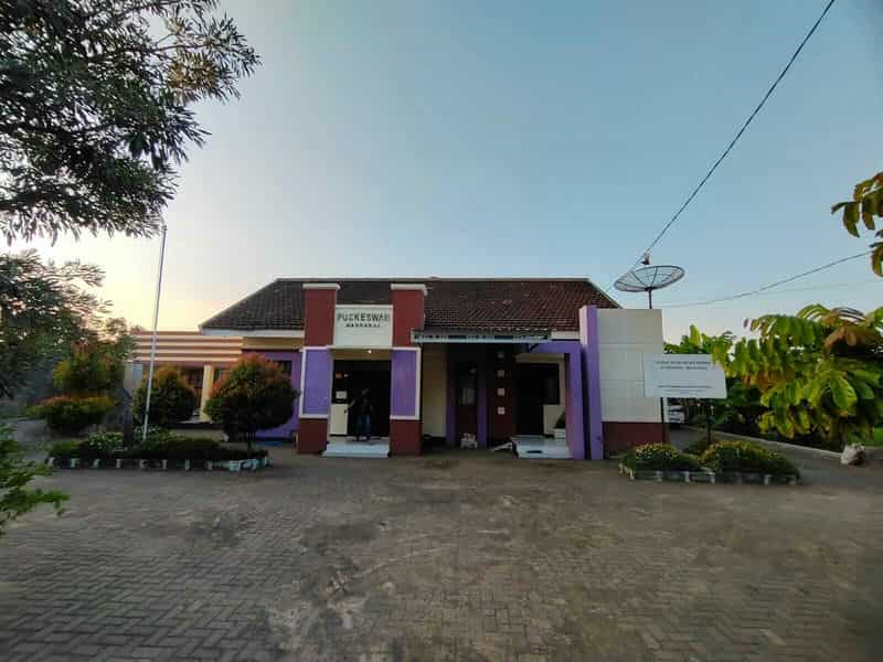 Sewa Aset Tanah Kosong, Kebun Rumput Trebungan, Kab. Situbondo - sekarputih, Timur, Trebungan, Mangaran