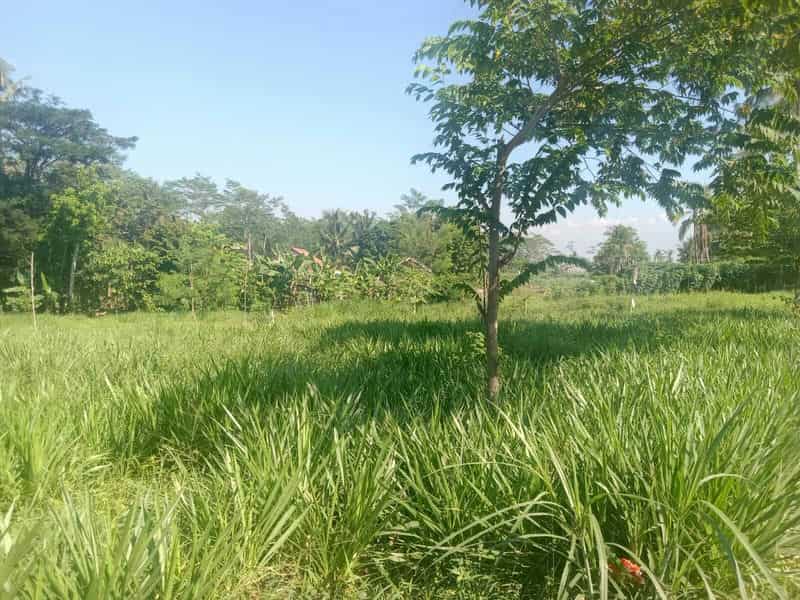 Sewa Aset Tanah Kosong Stren, Kab. Lumajang - Jl. Raya Lumajang -Jember