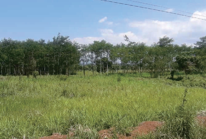 Sewa Aset Tanah Kosong di Jl. Raya Jember, Kab. Bondowoso