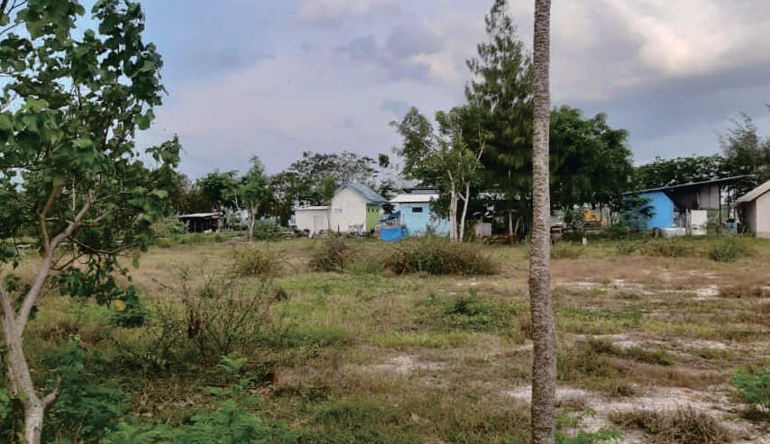 Sewa Aset Tanah Kosong Jl. Grajagan Banyuwangi