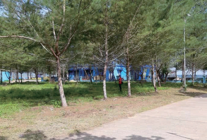 Sewa Aset Tanah Kosong Jl. Dusun pancer, Kabupaten Banyuwangi